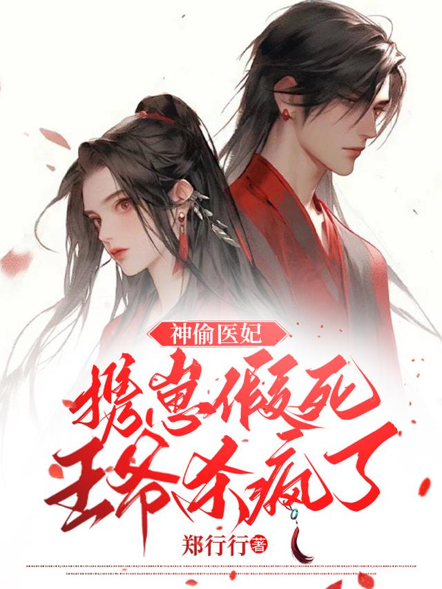 神偷医妃携崽假死：王爷杀疯了